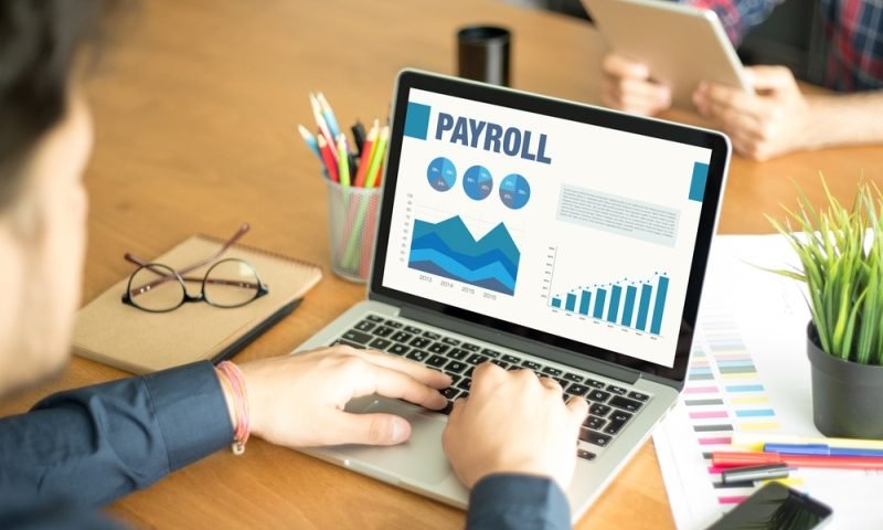 Professional Payroll Management Services